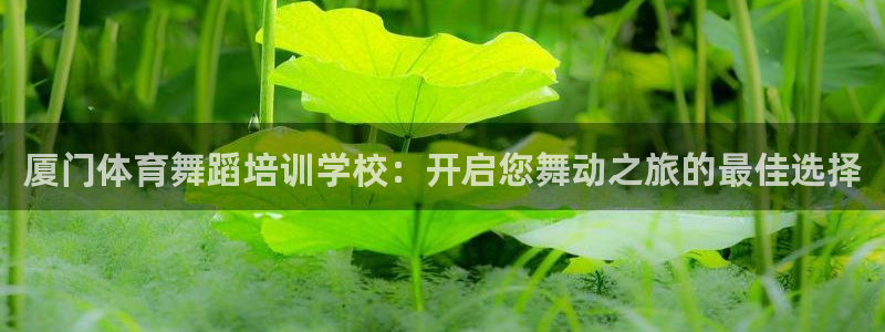 极悦平台官网登录网址查询：厦门体育舞蹈培训学校：开启