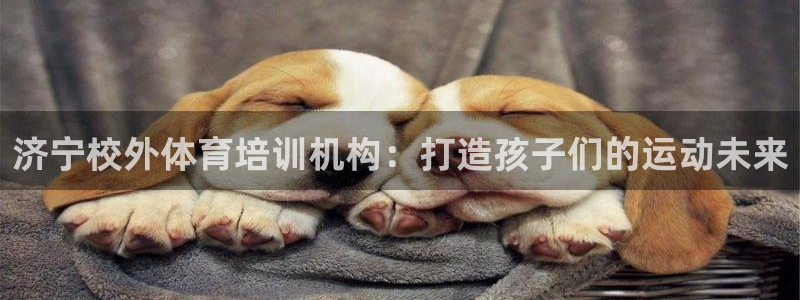 极悦娱乐的最新版本更新内容在哪：济宁校外体育培训机构