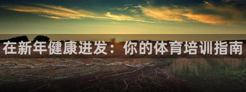 极悦平台官方网站入口：在新年健康进发：你的体育培训指