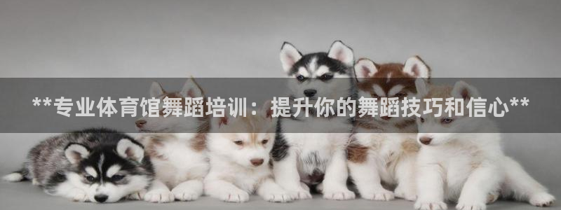 极悦平台注册流程详解图：**专业体育馆舞蹈培训：提升