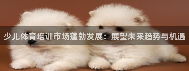 极悦平台官方网站登录不了：少儿体育培训市场蓬勃发展：