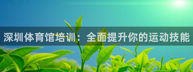 极悦娱乐创始人背景故事简介：深圳体育馆培训：全面提升