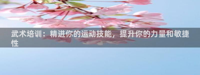 极悦娱乐创始人背景故事：武术培训：精进你的运动技能，