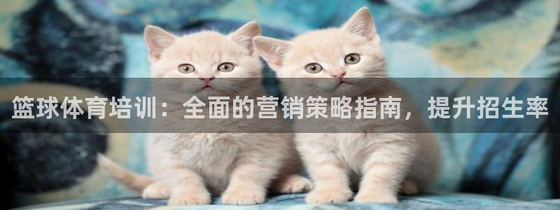 极悦娱乐官网客服联系方式查询：篮球体育培训：全面的营