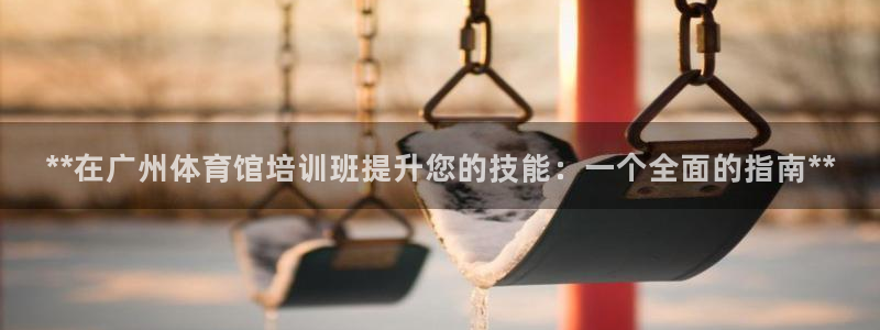 极悦平台是什么平台的：**在广州体育馆培训班提升您的