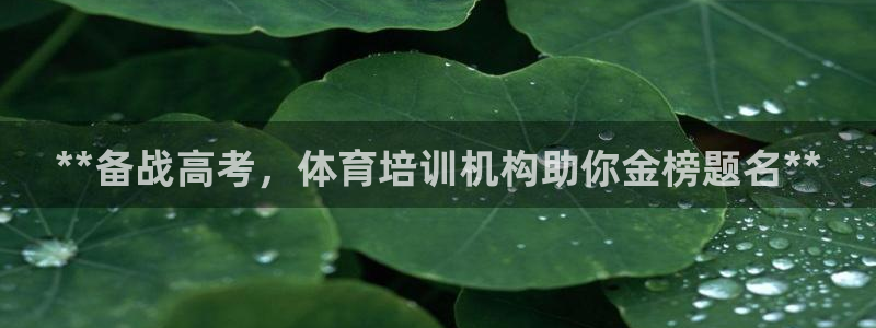 极悦官网下载最新版本更新内容视频：**备战高考，体育