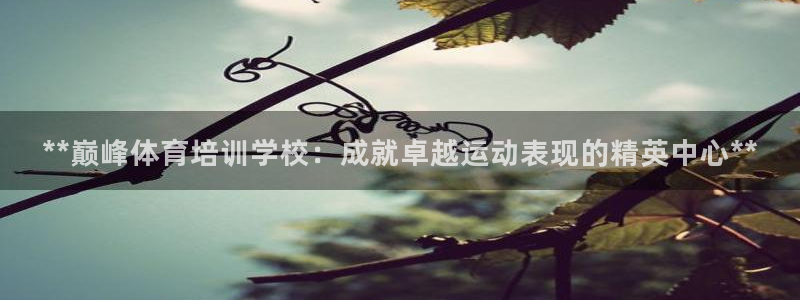 极悦娱乐管理最建议买吗：**巅峰体育培训学校：成就卓