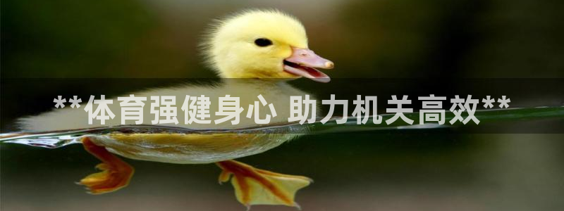极悦娱乐百科百度：**体育强健身心 助力机关高效**