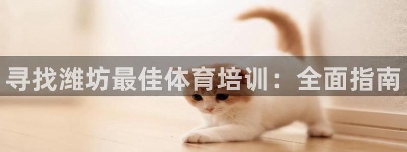 极悦平台是正规平台吗安全吗：寻找潍坊最佳体育培训：全
