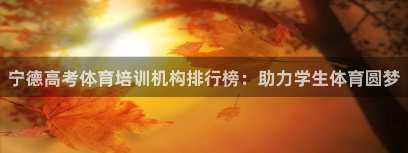 极悦平台注册官网入口：宁德高考体育培训机构排行榜：助