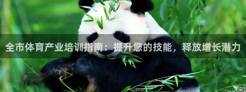 极悦平台官网登录不了怎么回事：全市体育产业培训指南：