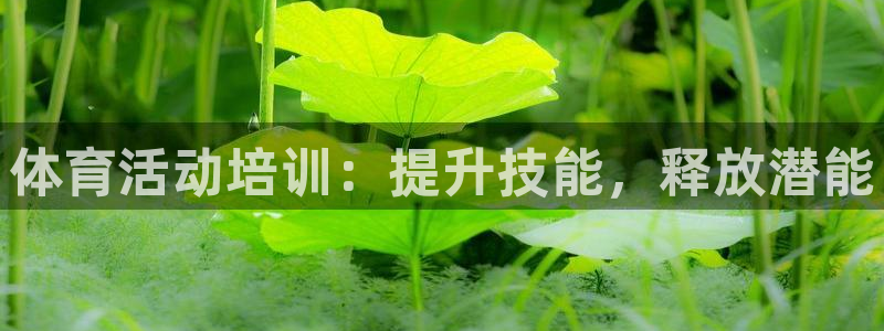 极悦平台登录入口注册：体育活动培训：提升技能，释放潜