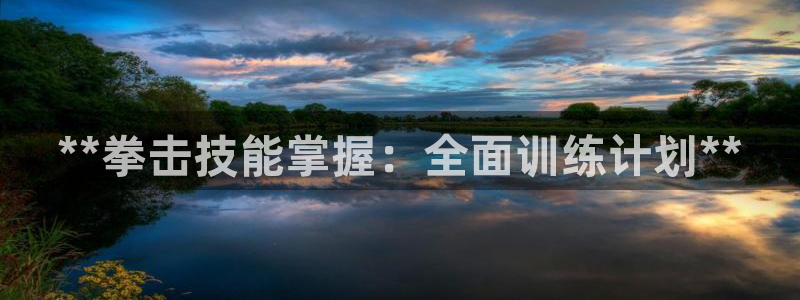 极悦官网注册最新版本更新内容：**拳击技能掌握：全面