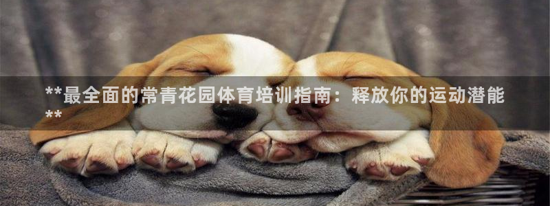 极悦娱乐代理人是谁：**最全面的常青花园体育培训指南
