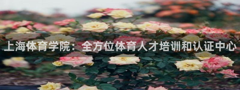 极悦平台登录入口注册：上海体育学院：全方位体育人才培