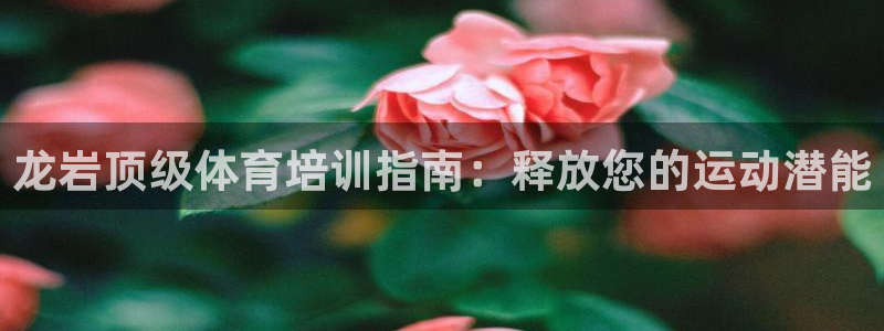 极悦平台非7O777：龙岩顶级体育培训指南：释放您的