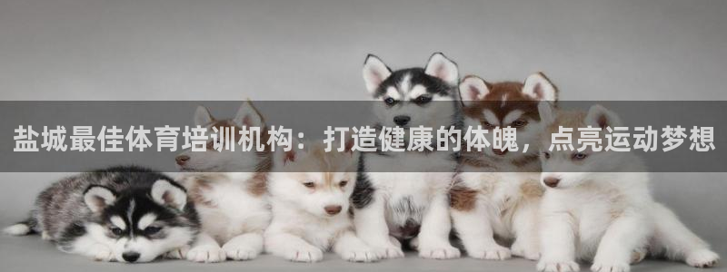极悦平台注册官方网站下载安装手机版：盐城最佳体育培训