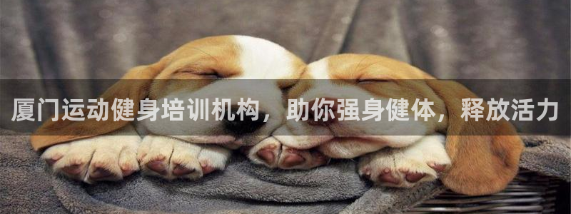 极悦娱乐官网最新版本更新内容视频：厦门运动健身培训机