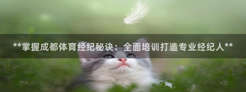 极悦平台注册用户名验证：**掌握成都体育经纪秘诀：全