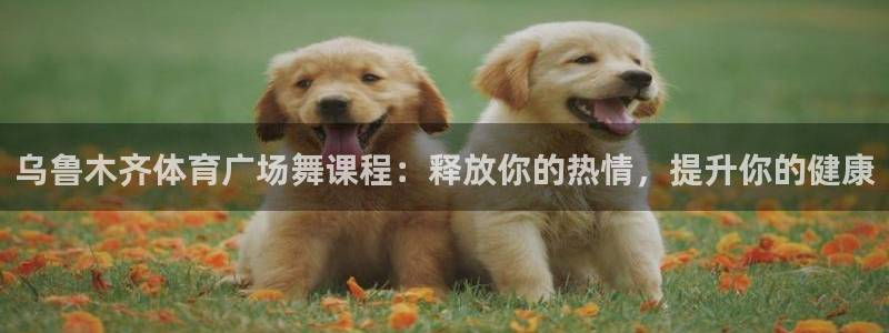 极悦平台家7O777：乌鲁木齐体育广场舞课程：释放你