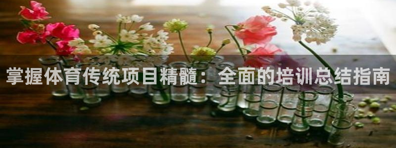 极悦平台官方网站下载：掌握体育传统项目精髓：全面的培