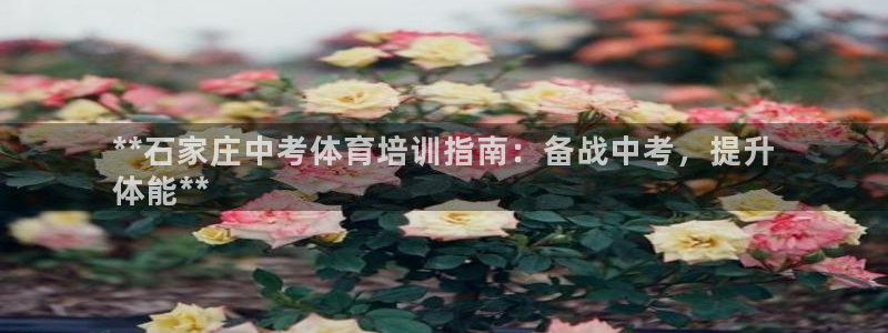 极悦平台官方网站入口网址：**石家庄中考体育培训指南