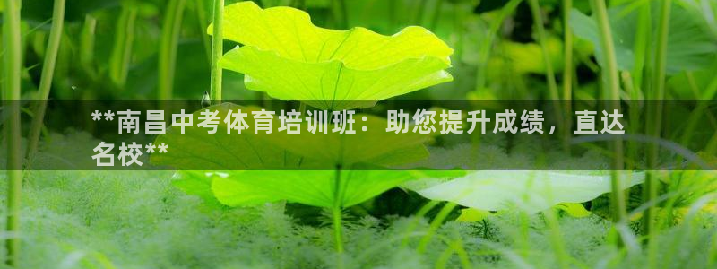 极悦娱乐登录拒绝访问怎么办理：**南昌中考体育培训班