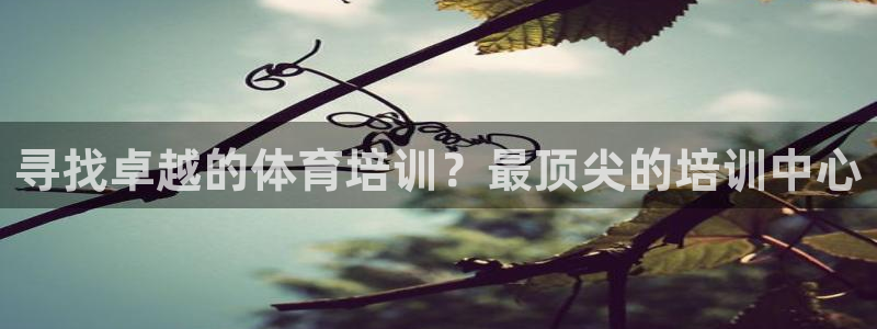 极悦平台代理怎么做赚钱：寻找卓越的体育培训？最顶尖的