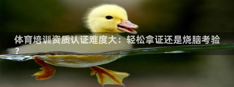 极悦平台官方网站入口：体育培训资质认证难度大：轻松拿