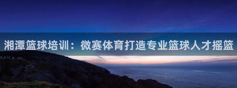 极悦平台官方网站登录不了：湘潭篮球培训：微赛体育打造