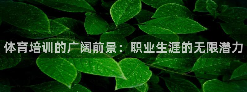 极悦平台注册官方网站下载：体育培训的广阔前景：职业生