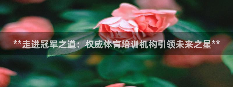 极悦平台官网入口下载：**走进冠军之道：权威体育培训