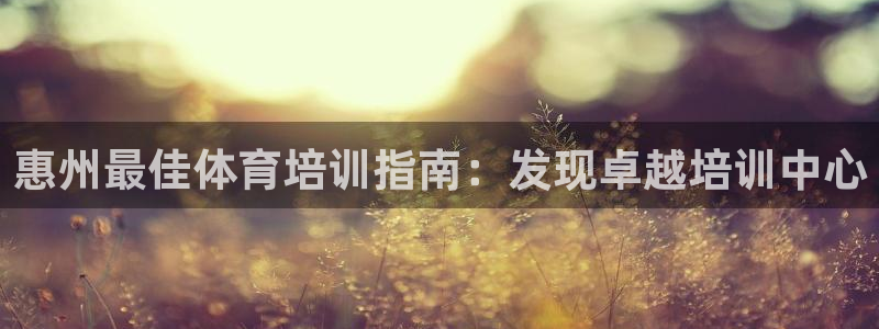极悦娱乐最新版本更新内容分享：惠州最佳体育培训指南：