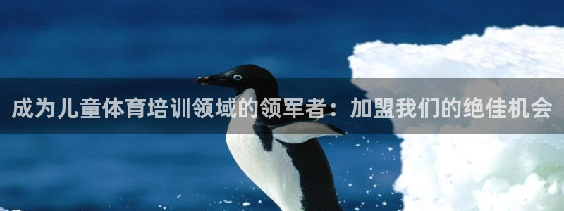 极悦娱乐的内部员工福利：成为儿童体育培训领域的领军者
