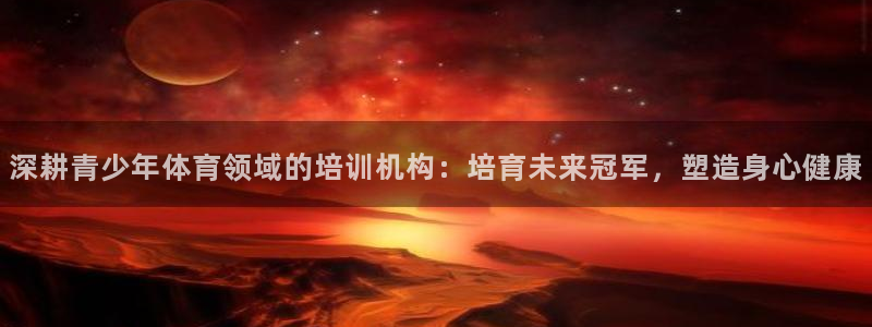 极悦平台官网登录入口下载：深耕青少年体育领域的培训机