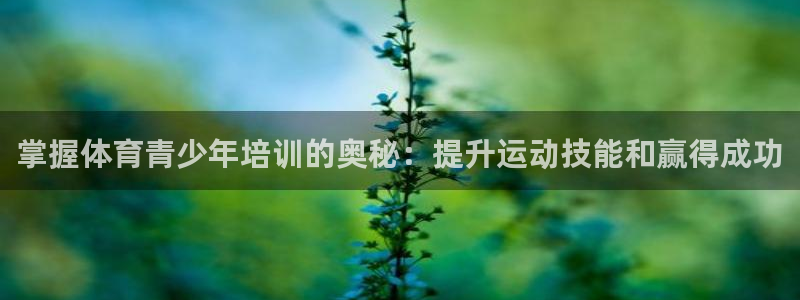 极悦娱乐的背景和历史背景介绍：掌握体育青少年培训的奥秘：提升