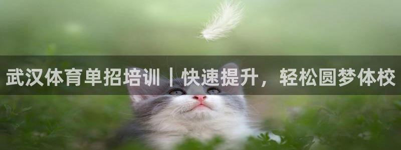 极悦平台用户反馈和反馈一样吗：武汉体育单招培训｜快速