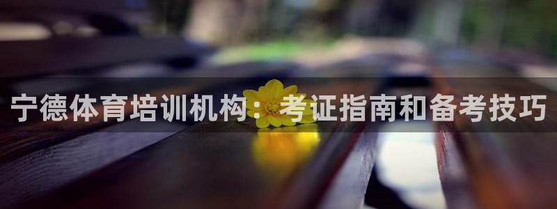 极悦平台是干嘛的软件：宁德体育培训机构：考证指南和备