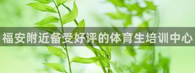 极悦官方网站app下载：福安附近备受好评的体育生培训