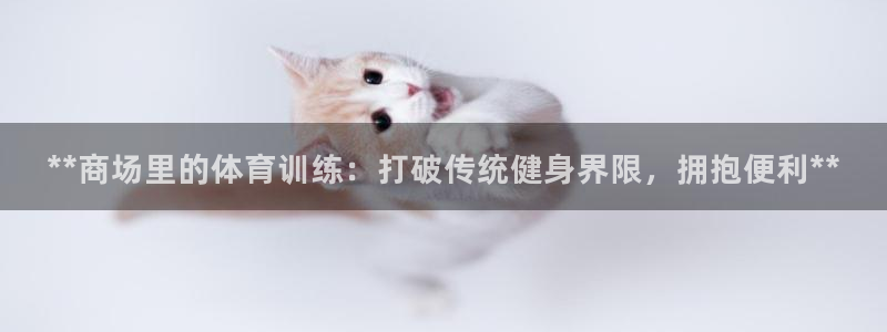 极悦平台与网易合作详情：**商场里的体育训练：打破传