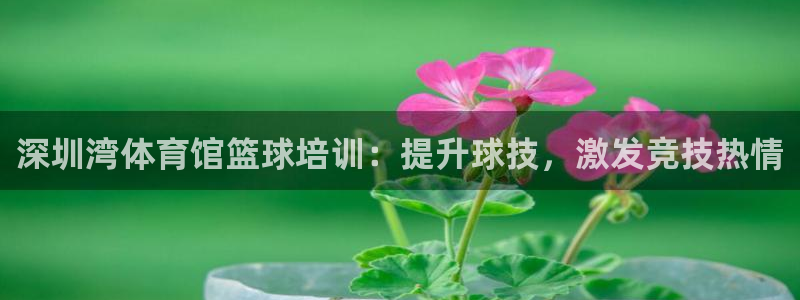 极悦平台注册太7.0.2.4好用吗：深圳湾体育馆篮球