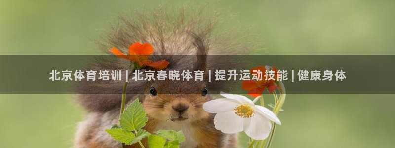 极悦平台官网登录不了怎么回事：北京体育培训 | 北京春晓体育