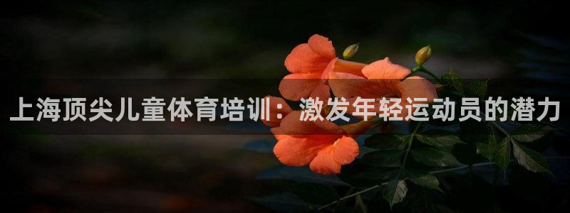 极悦平台安全吗是真的吗：上海顶尖儿童体育培训：激发年