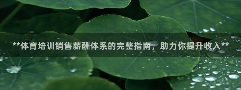 极悦平台是正规平台吗：**体育培训销售薪酬体系的完整