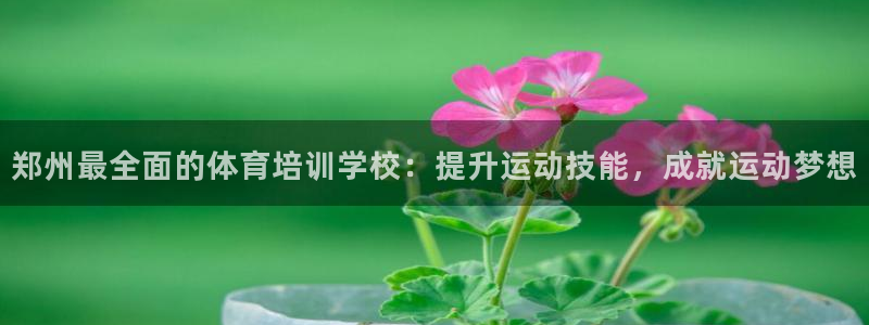 极悦平台创始人背景故事视频：郑州最全面的体育培训学校