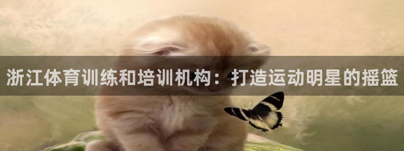 极悦平台官方网站入口链接下载：浙江体育训练和培训机构