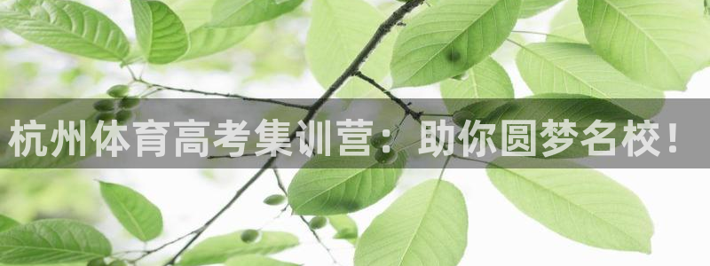 极悦娱乐官网入口：杭州体育高考集训营：助你圆梦名校！