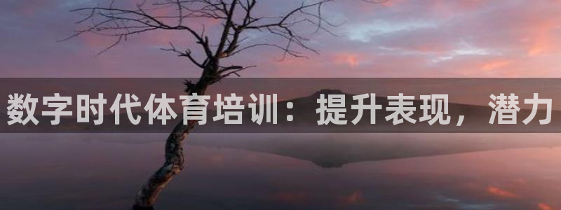极悦平台用户反馈和反馈一样吗：数字时代体育培训：提升
