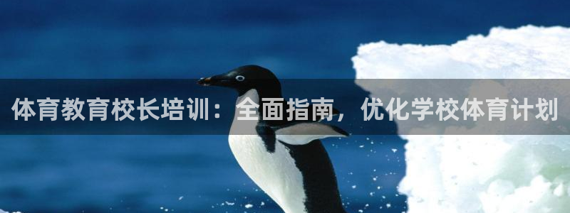 极悦平台注册资金多少：体育教育校长培训：全面指南，优
