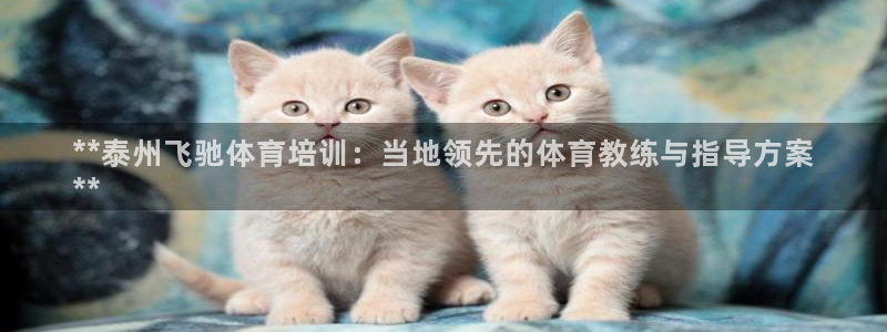 极悦官网登录：**泰州飞驰体育培训：当地领先的体育教